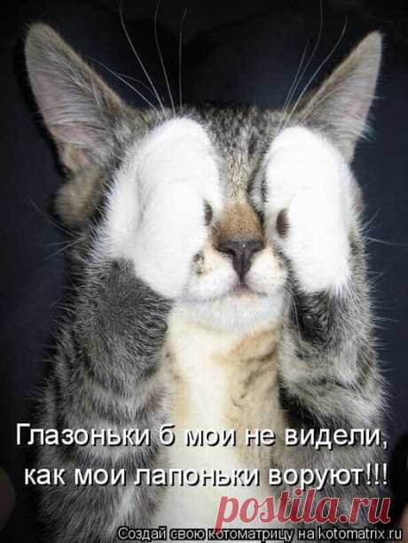 Забавные животные