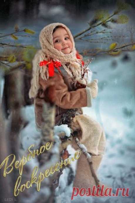 (83) Одноклассники