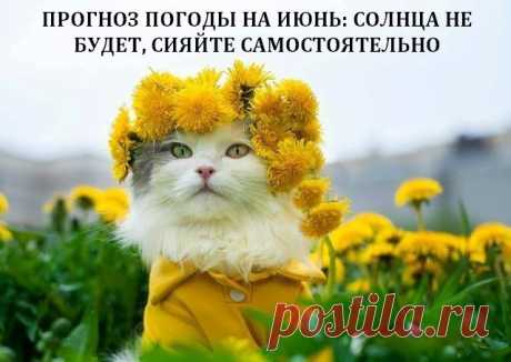 Мой Мир@Mail.Ru