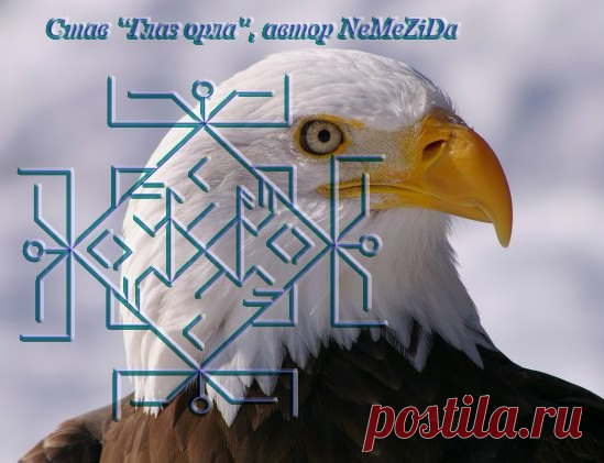 СТАВ "ГЛАЗ ОРЛА"