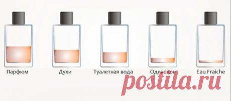 Духи, туалетная вода, парфюм … Разница …