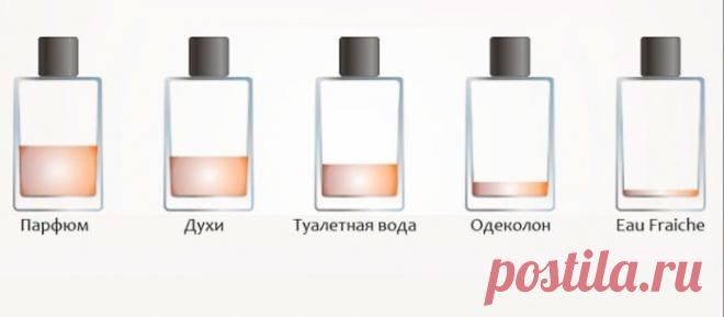 Духи, туалетная вода, парфюм … Разница …