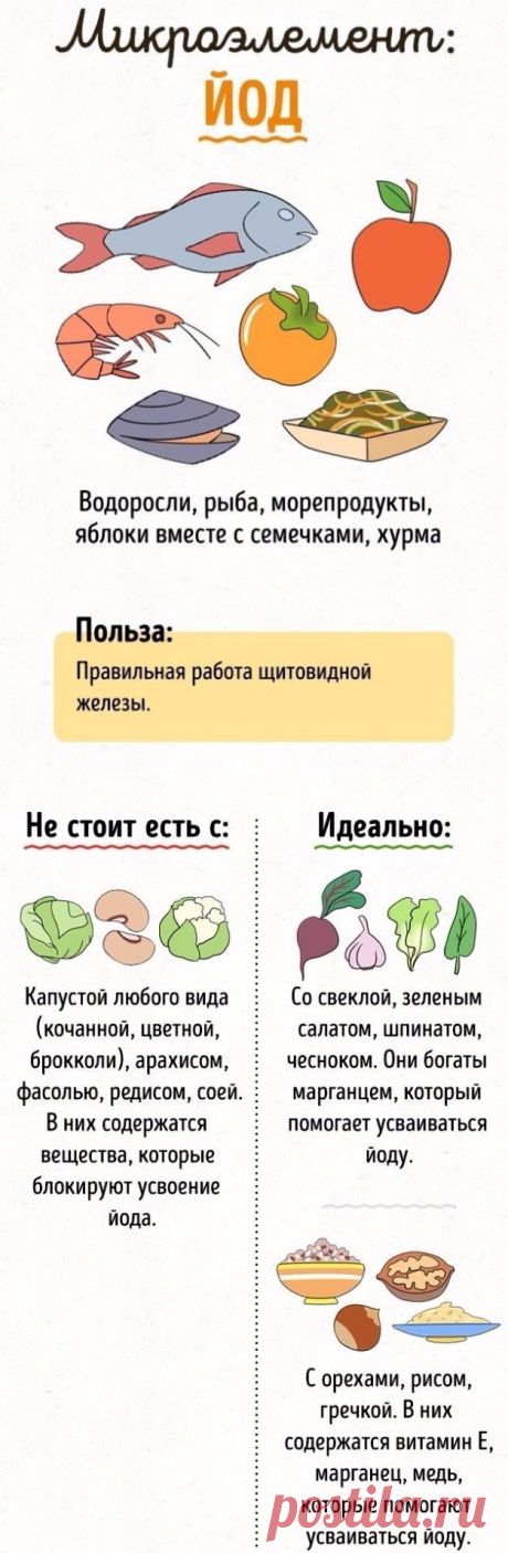 20+ продуктов, которые не стоит употреблять вместе