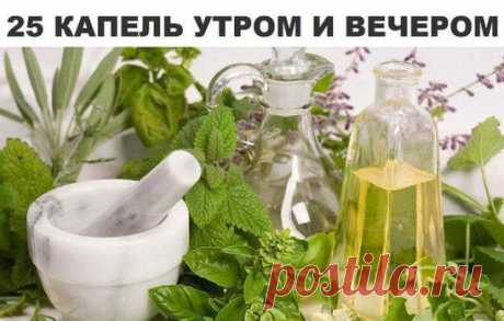 если часто болит голова (сужение сосудов)
А лекарство такое:
понадобятся по 100 мл настоек
- эвкалипта
- валерианы
- пустырника
- боярышника
по 50 мл настоек
- пиона уклоняющегося
- мяты перечной
- 10 штук гвоздик
- 1 ст.л. меда
- 1 пакетик имбиря (10 г)
Все это слить в литровую бутылку темного цвета. Настаивайте 25 дней, периодически встряхивая. Затем хорошо процедить и разлить в пузыречки с дозатором. Принимать по 25 капель два раза в день, утром и вечером.