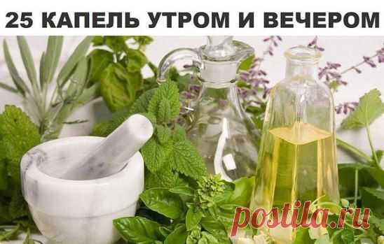 если часто болит голова (сужение сосудов)
А лекарство такое:
понадобятся по 100 мл настоек
- эвкалипта
- валерианы
- пустырника
- боярышника
по 50 мл настоек
- пиона уклоняющегося
- мяты перечной
- 10 штук гвоздик
- 1 ст.л. меда
- 1 пакетик имбиря (10 г)
Все это слить в литровую бутылку темного цвета. Настаивайте 25 дней, периодически встряхивая. Затем хорошо процедить и разлить в пузыречки с дозатором. Принимать по 25 капель два раза в день, утром и вечером.