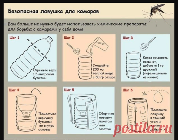 Лучшая ловушка для комаров в доме! | Секрет Мастера | Яндекс Дзен