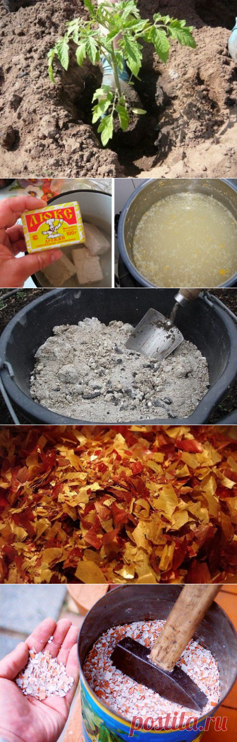 Что необходимо класть в лунку при посадке помидоров?