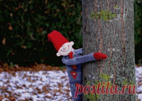 Календарь сезонных работ в саду: декабрь - Planetalsad