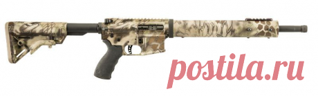 R-50-16-HUNT-BF 0,50 Beowulf® - Hunter Полная Rifle - Винтовки