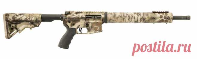 R-50-16-HUNT-BF 0,50 Beowulf® - Hunter Полная Rifle - Винтовки