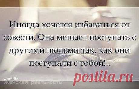 Совесть - она как хомяк: либо спит, либо грызет..