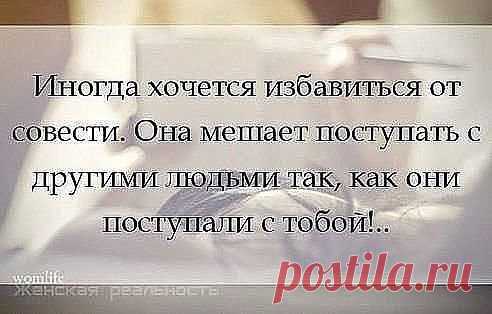 Совесть - она как хомяк: либо спит, либо грызет..
