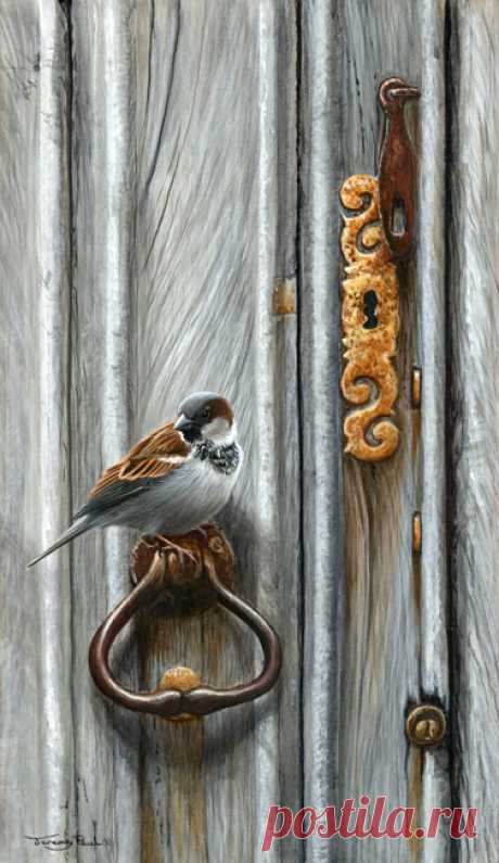 Galleries | Jeremy Paul - Wildlife Artist