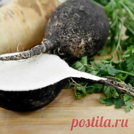 Средства и травы, выводящие мокроту из легких и бронхов