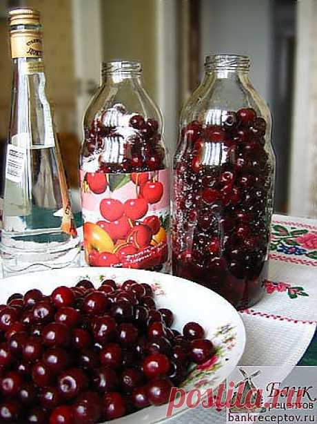 Наливка вишневая | postila.ru/Юра%20Вахрушев