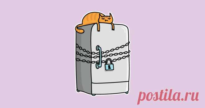 7 мифов ЗОЖ, о которых вы не знали Посмотрели кино «Я худею», и разбили в пух и прах мифы ЗОЖ, о которых вы еще не знали — https://lively.ru/7-mifov-zozh-o-kotoryh-vy-ne-znali/