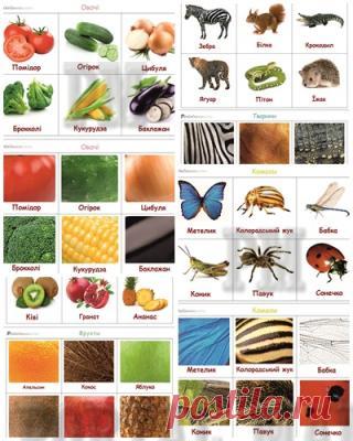 Игра "Текстуры" позволит не только развлечь малыша, но и с пользой провести время. Ведь это не одна игра, а целых три: карточки для изучения, лото и найди пару. Благодаря им можно выучить как выглядят и называются различные фрукты и овощи, животные и насекомые. Необычно и интересно будет посмотреть на знакомые вещи в макро виде.