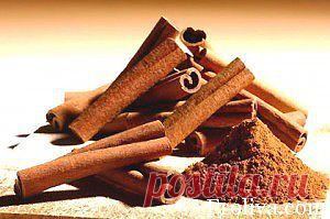 Froliva » Blog Archive » Корица от гриппа !