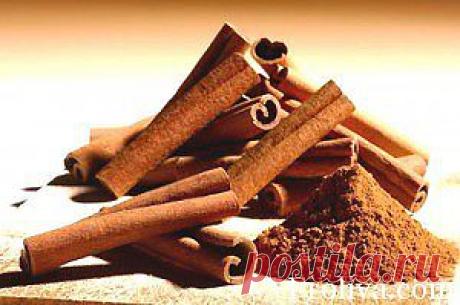 Froliva » Blog Archive » Корица от гриппа !