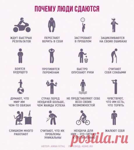 (3) Страницы