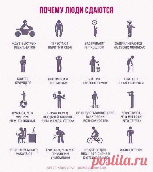 (3) Страницы