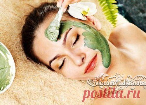 ЛАМИНАРИИ - ПРОДУКТ ДЛЯ ОМОЛОЖЕНИЯ