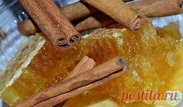 КОРИЦА И МЁД В ПОМОЩЬ ЗДОРОВЬЮ. 15 ЛУЧШИХ РЕЦЕПТОВ!