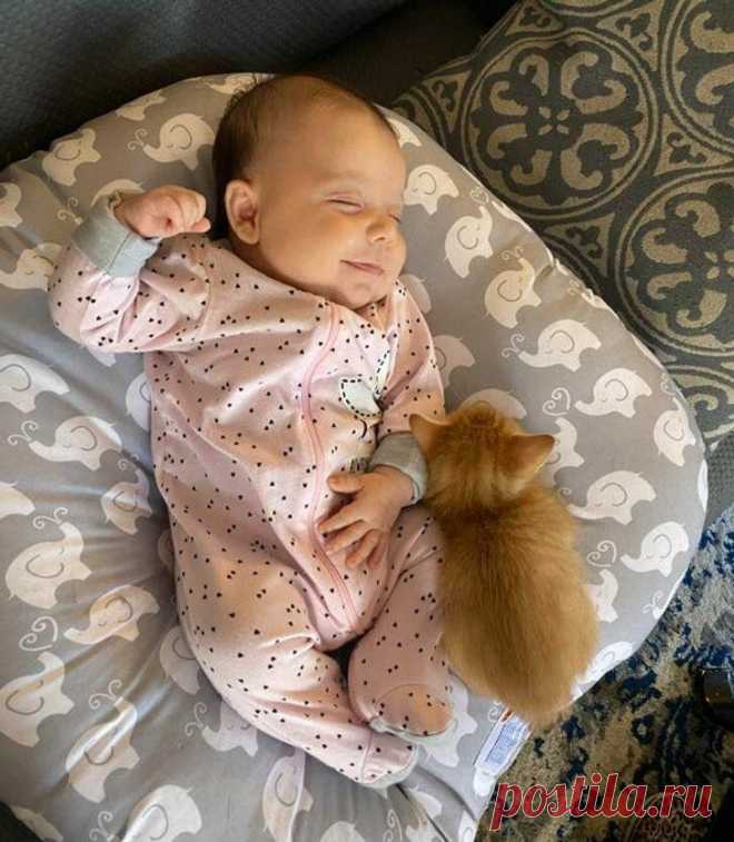 19 фотографий, которые приносят столько счастья, что рассеивают самые мрачные облака
Питер Пэн пел, что думать о самых счастливых вещах — все равно, что иметь крылья. И мы абсолютно согласны! Мы также можем заверить вас, что просмотр фотографий, на которых запечатлены веселые моменты из жизни других людей, поднимает настроение, как и собственные веселые моменты. Как новорожденный ребенок,...
Читай дальше на сайте. Жми подробнее ➡