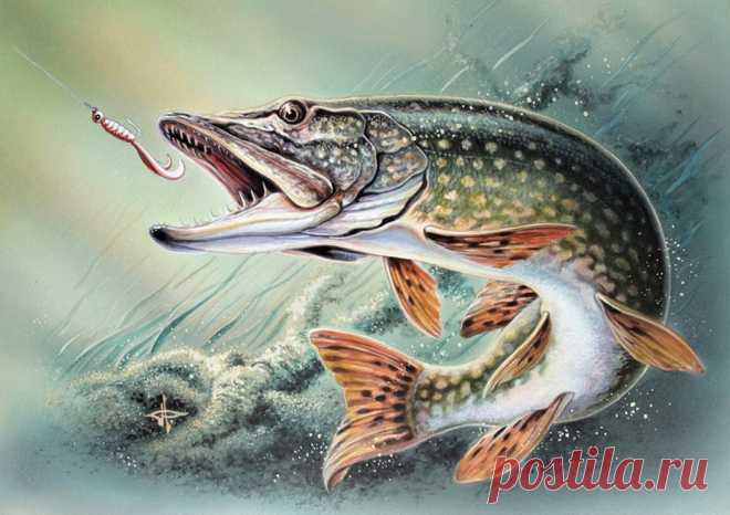 Редактировать описание