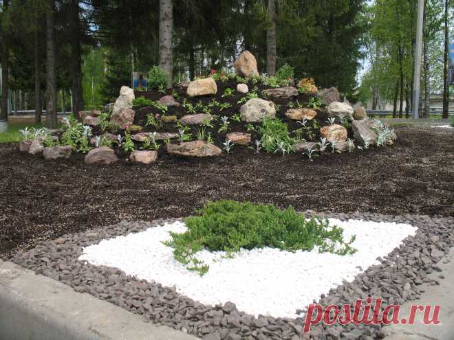 можжевельник на отсыпке из гранитной щебёнки перед альпийской горкой.