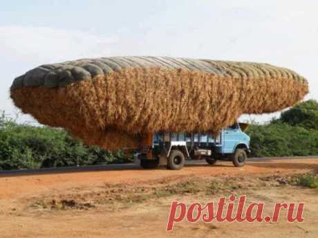 (91) Одноклассники