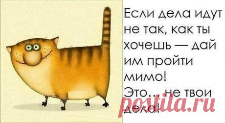 Интересные новости