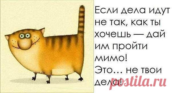 Интересные новости