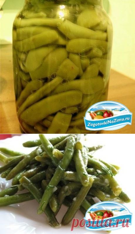 Стручковая фасоль на зиму