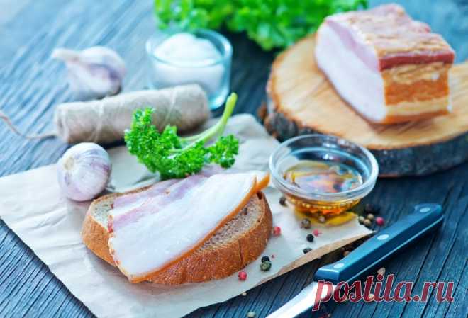 Охота и рыбалка