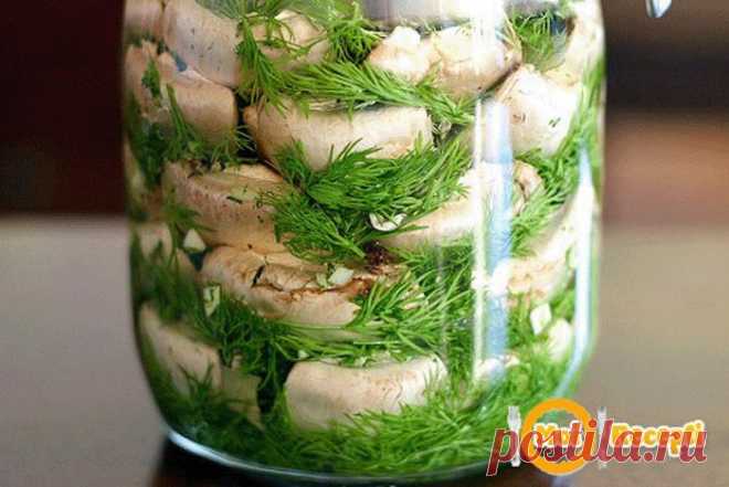 Малосольные ШАМПИНЬОНЫ на скорую руку - мировой рецептик!.