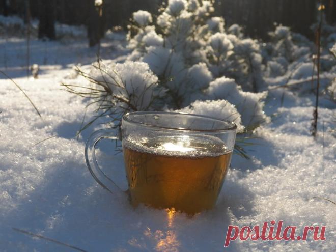 Согревающий чай для моржей и моржих, вынырнувших из крещенской проруби!
В этом году крещенские морозы совсем и не морозы. Зимушка-зима уж сильно тепла! Наверное, в связи с тёплой погодой купаться во всех прорубях будет народу-уу! В несколько раз больше чем все прошлые года вместе взятые! Закаляться полезно, если это делать с умом и не 1 раз в год 18 января (например, регулярный контрастный душ усиливает […]
Читай дальше на сайте. Жми подробнее ➡