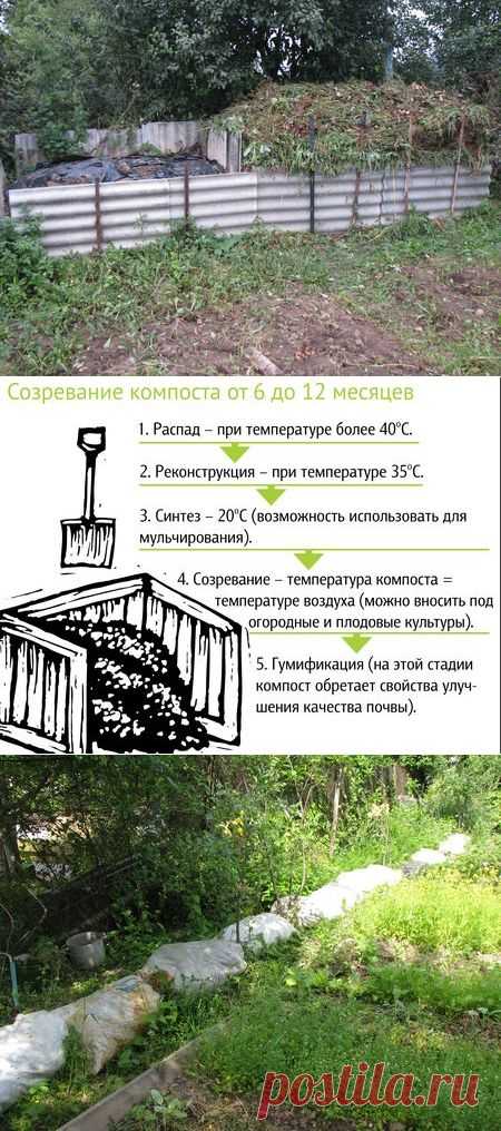 5 этапов создания правильного компоста