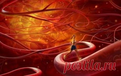 Чистка сосудов головного мозга