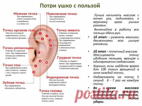 Массаж ушей — здоровье всего тела
Воздействуя на биологически активные точки на ухе, вы сможете взбодриться и провести профилактику от ряда заболеваний.
Есть некоторые хитрости: массируйте оба уха одновременно хорошо разогретыми руками; массаж лучше проводите в спокойной обстановке.
Техника точечного массажа уха:
Делайте массаж ушей не менее минуты. Надавливайте на активную точку в течение 5 секунд. Повторите надавливание ещё 7 раз.
Если у вас болят или устали глаза — нада...