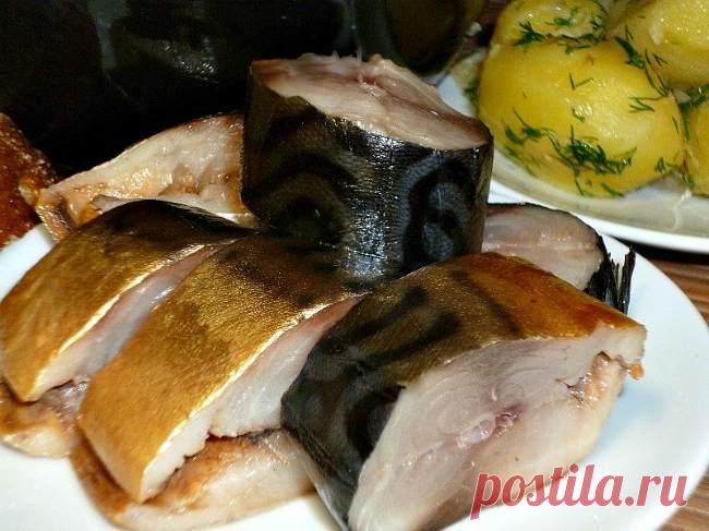 Как коптить скумбрию в домашних условиях | Коптим.нет