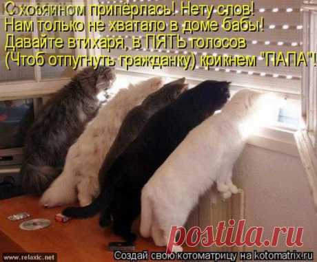 Отпугнём гражданку. | KotoMail.ru
