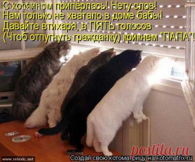 Отпугнём гражданку. | KotoMail.ru