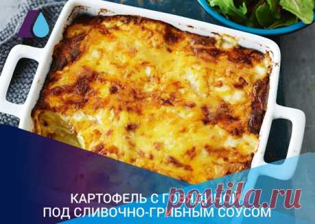 Картофель и грибы – идеальное сочетание. Предлагаем Вам приготовить картофель с говядиной под сливочно-грибным соусом. Для приготовления можно использовать любые грибы. Шампиньоны и вешенки, а также белые, подберёзовики и подосиновики можно использовать без предварительной обработки. А вот остальные лесные грибы рекомендуется сначала отварить в подсоленной кипящей воде, чтобы из них ушла горечь.
Показать полностью…
