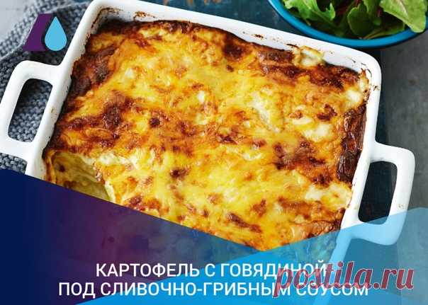 Картофель и грибы – идеальное сочетание. Предлагаем Вам приготовить картофель с говядиной под сливочно-грибным соусом. Для приготовления можно использовать любые грибы. Шампиньоны и вешенки, а также белые, подберёзовики и подосиновики можно использовать без предварительной обработки. А вот остальные лесные грибы рекомендуется сначала отварить в подсоленной кипящей воде, чтобы из них ушла горечь.
Показать полностью…