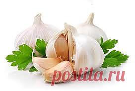 Чеснок против старения..