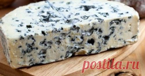Дор блю в домашних условиях. Рецепт сыра с голубой плесенью