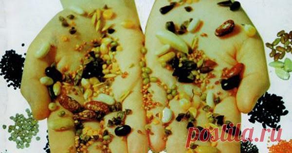 СУ ДЖОК СЕМЯНОТЕРАПИЯ http://victoire.ucoz.com