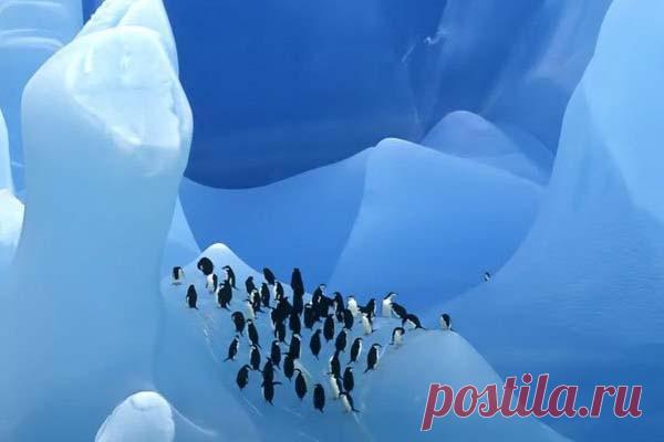 Активные озера под ледниками Антарктиды Ученые использовали орбитальный аппарат ICESat-2 для составления новой карты 