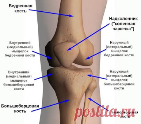 БЛОГ ПОЛЕЗНОСТЕЙ: Боли в коленях: лечение народными средствами